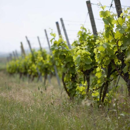 Готель Weingut Schilling Seinsheim Екстер'єр фото