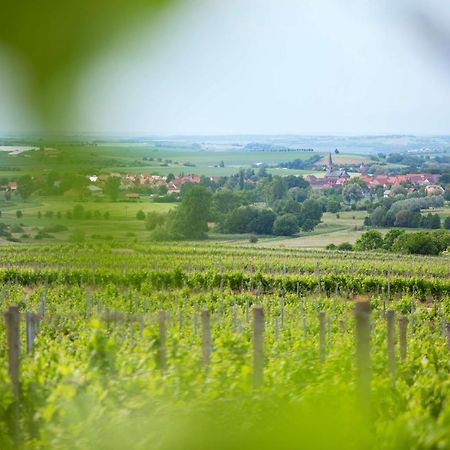 Готель Weingut Schilling Seinsheim Екстер'єр фото