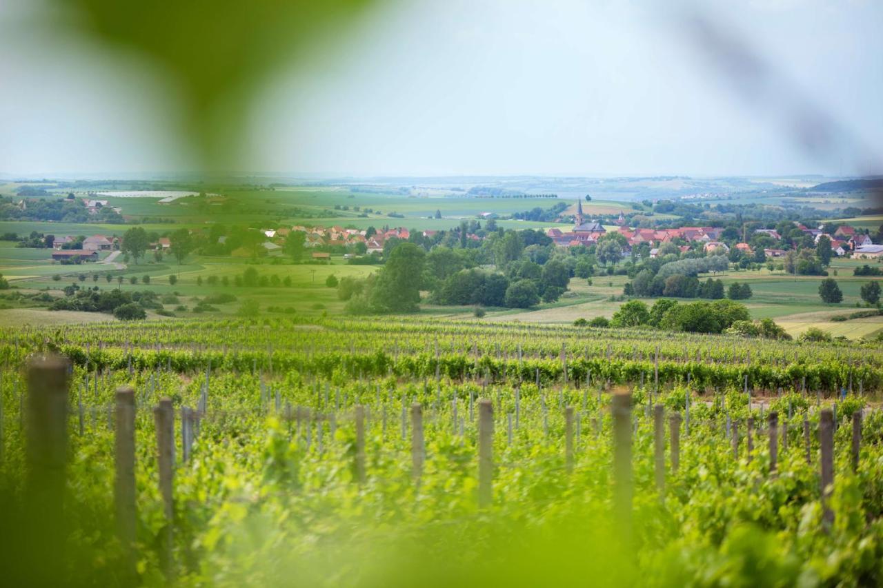Готель Weingut Schilling Seinsheim Екстер'єр фото